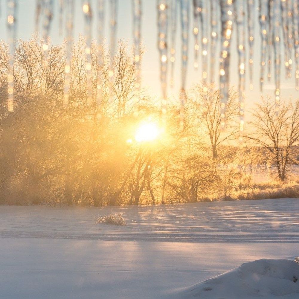 Неужели весна?